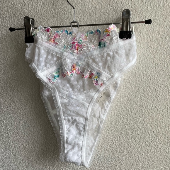 For Love and Lemons Outline Rainbow Floral Embroidered Lace Panty - Picture 6 of 11